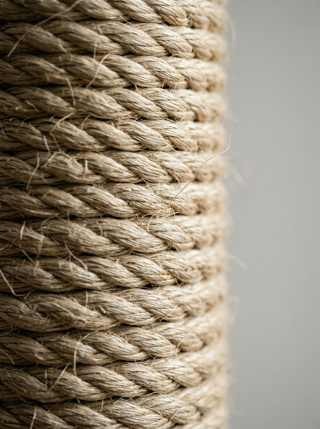 Cat Scratching Post with Sisal Rope & Soft Plush – Stable Vertical Scratcher
